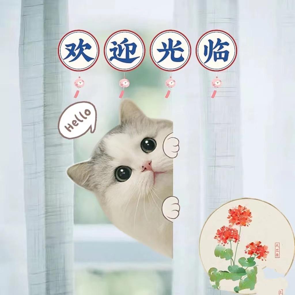 Dream潮品女鞋
