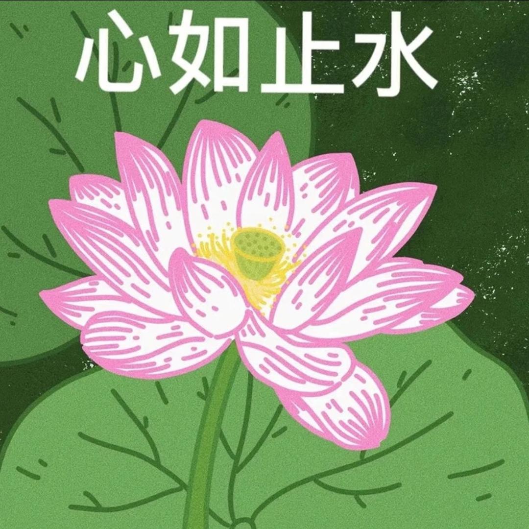 多肉-
