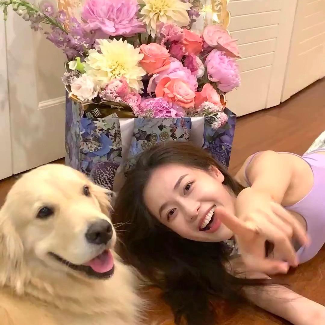懒猫BB