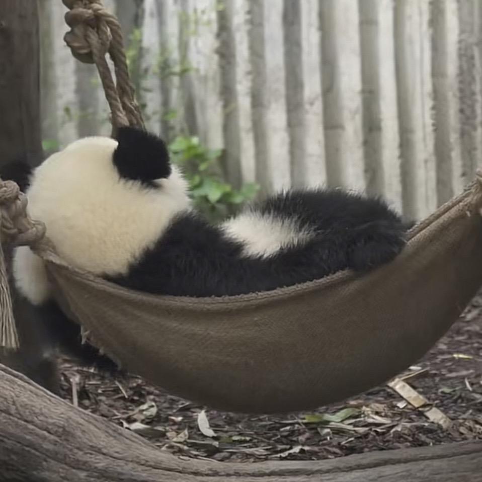 发发.
