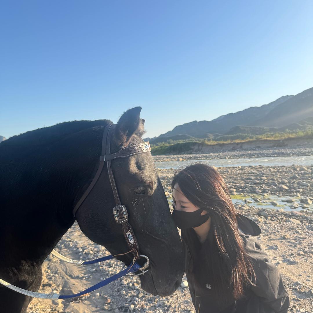 盛开的阳光☀️