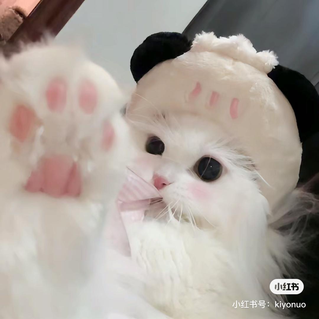 慕颜