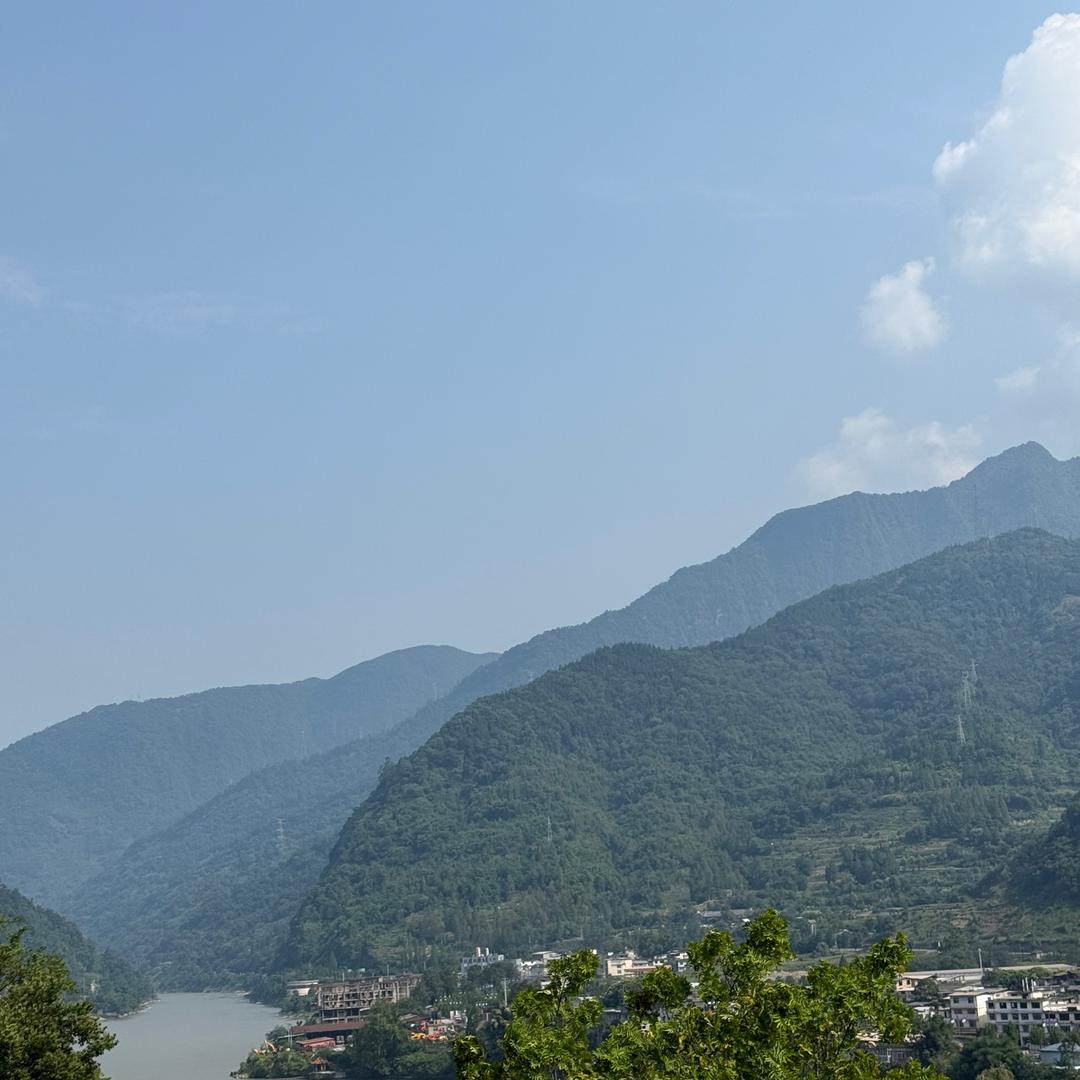 舒淇淇