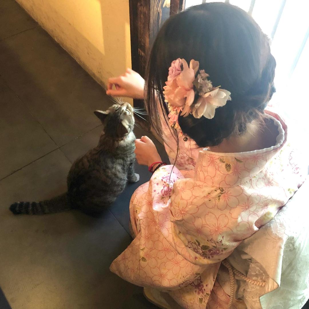 小晗饱饱