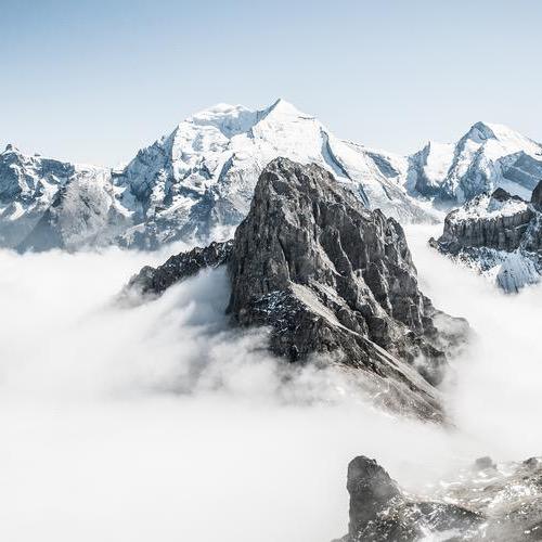 老妈蹄花，花甲鱼