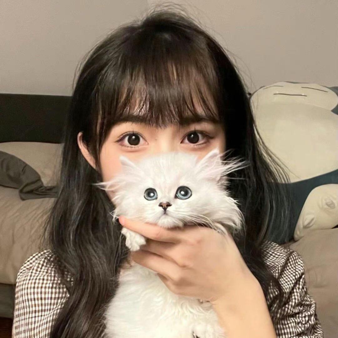 圆圆好物分享