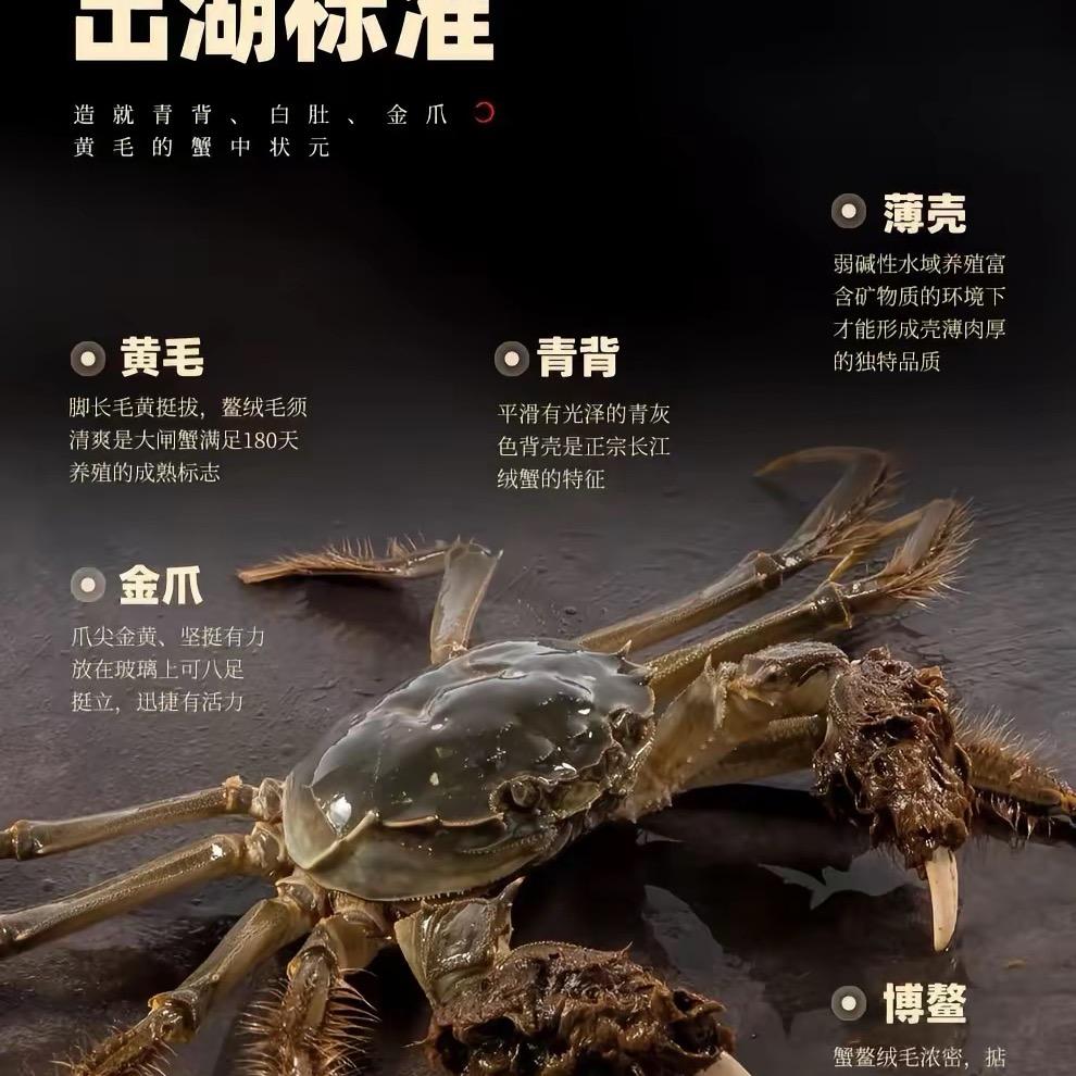 95后螃蟹小哥