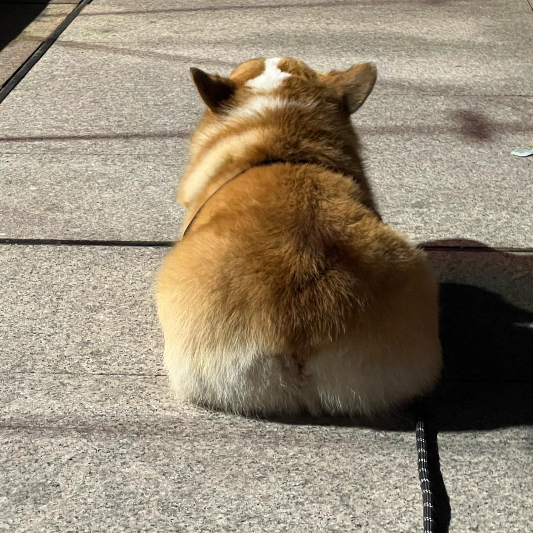 啊哩哩阿李李