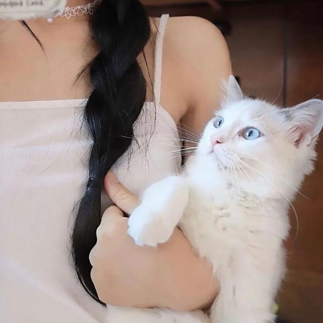悸动.