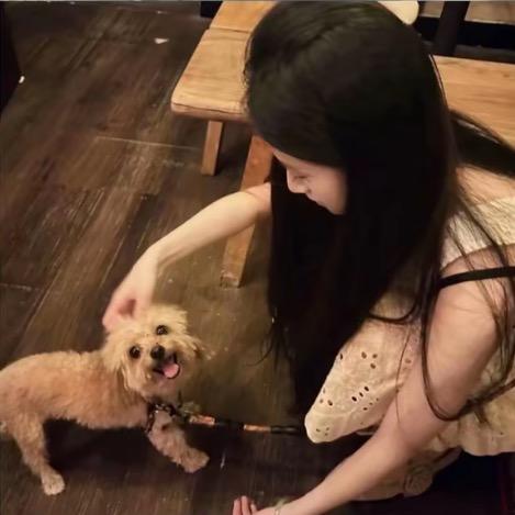 猪小哼🐰