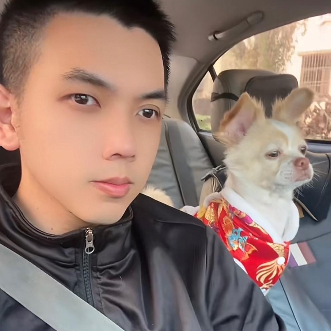 刘坦克🤜🤛