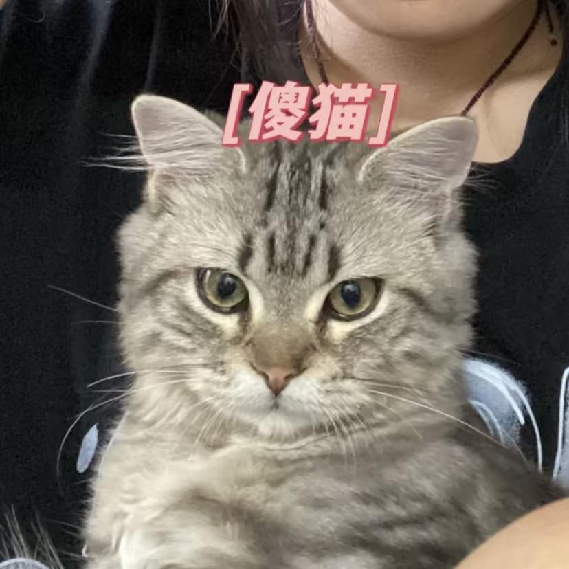 小气包