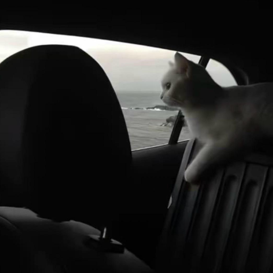 ㅤ￴￴ ￴ ￴ ￴ ￴ ￴ ￴￴ ￴ ￴