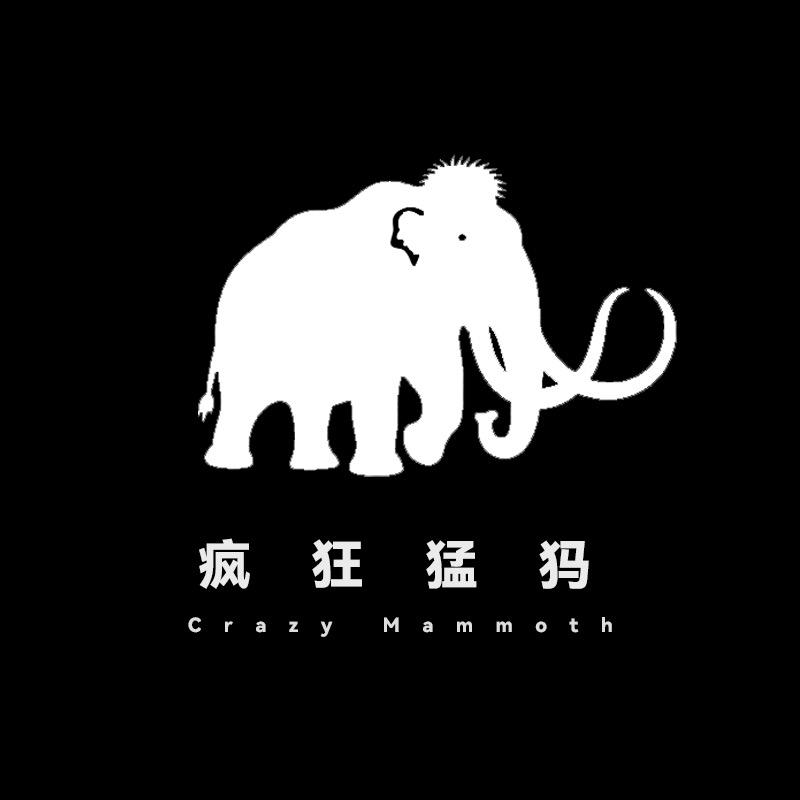 疯狂猛犸Vlog相机
