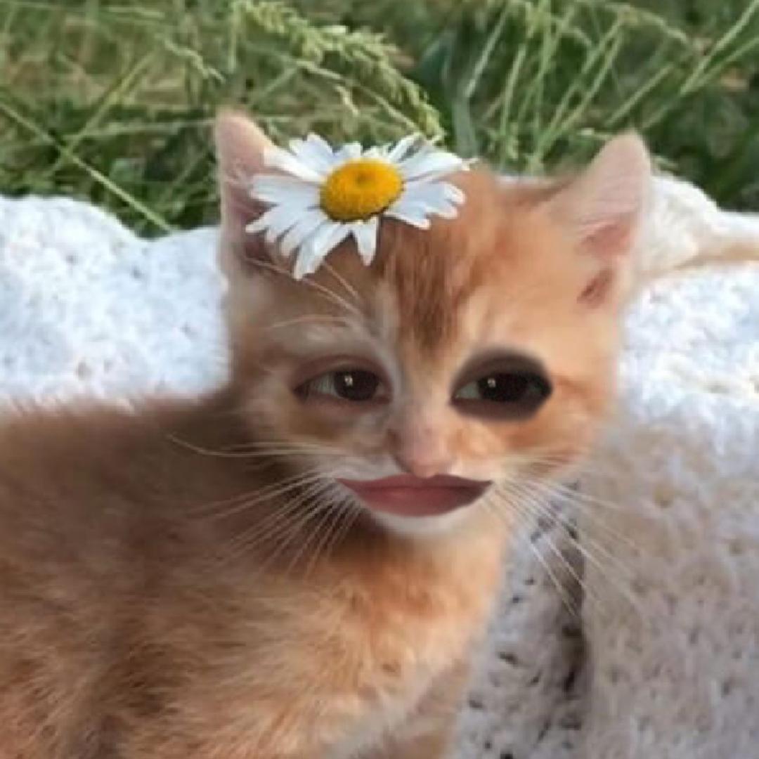 雲不喵怎麼行🌨️