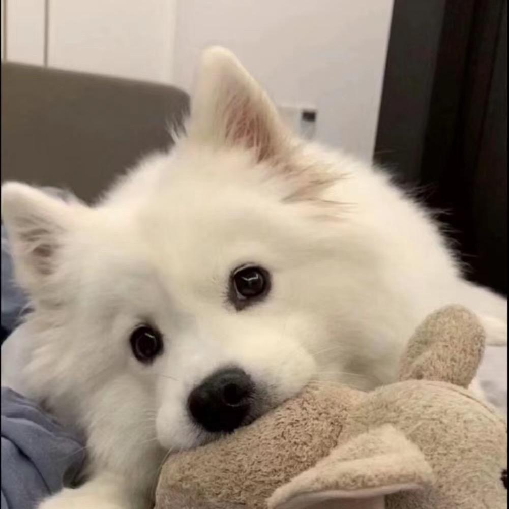 睡个懒觉👆🏼