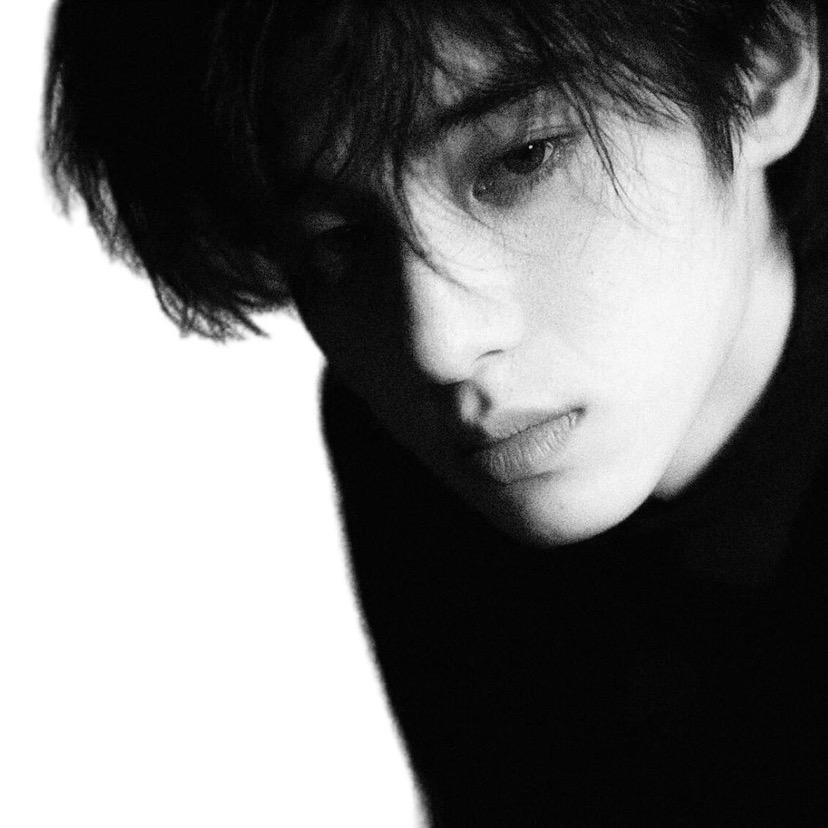 暴躁的小狮子