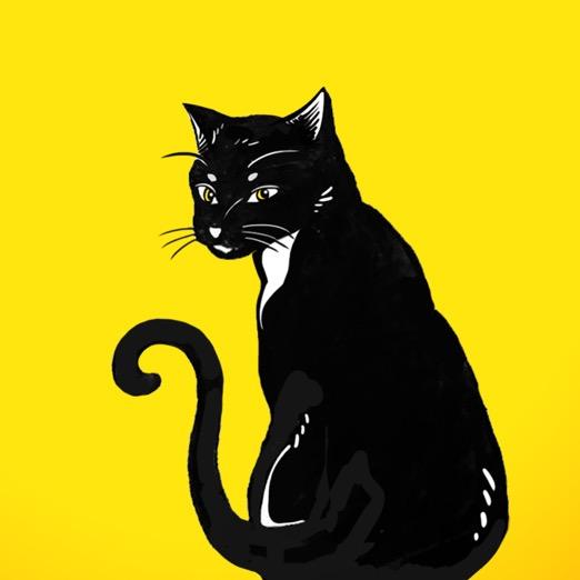 黑猫Yellow