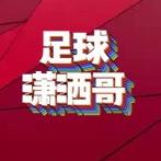 足球潇洒哥