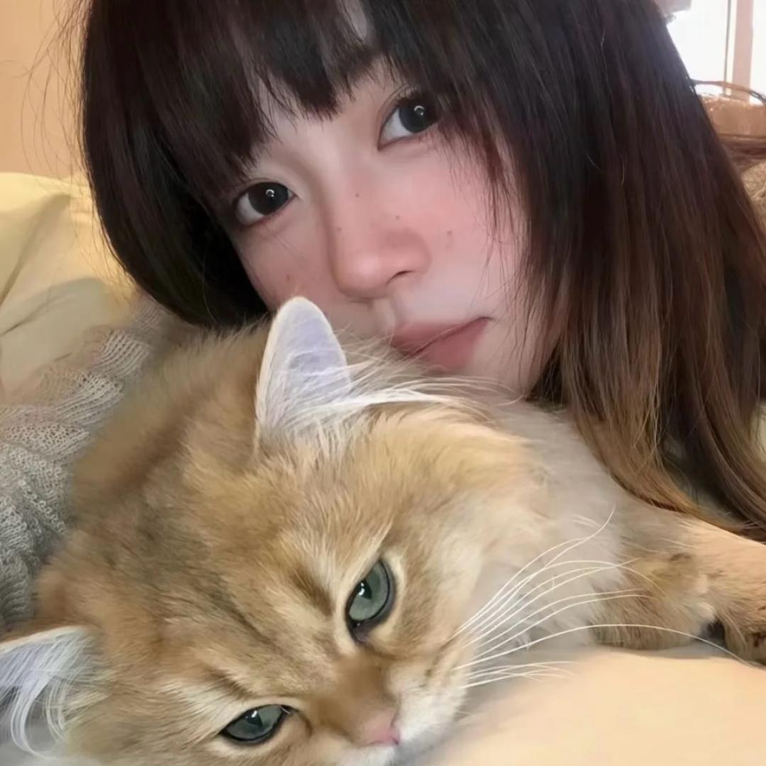 zzzz沫