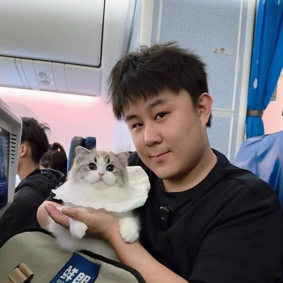 张宝彤的小猫院