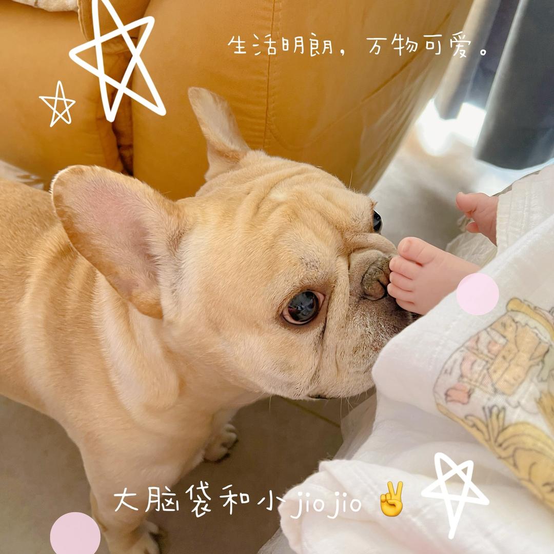 白兔跳跳糖🍬