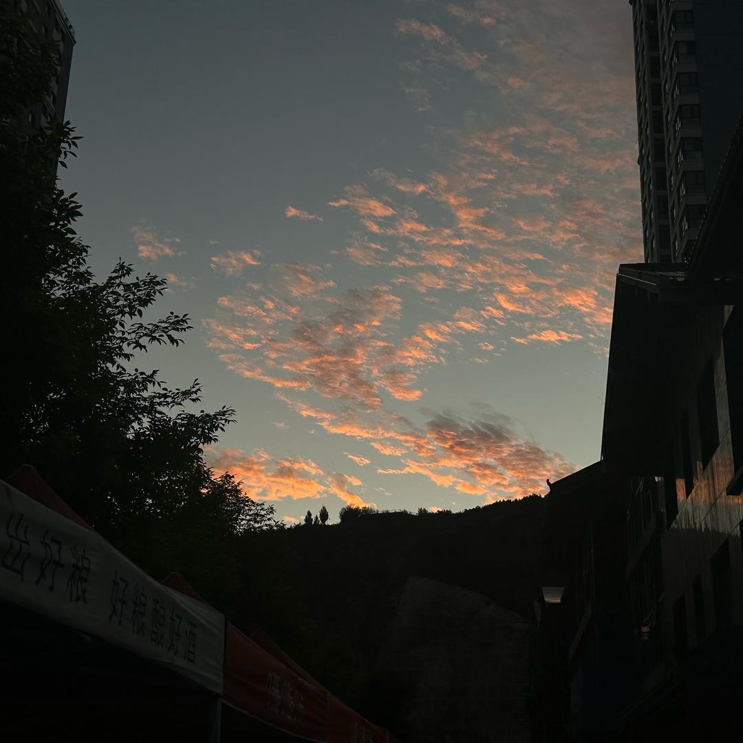 🐒 悲伤大蟑螂🪳
