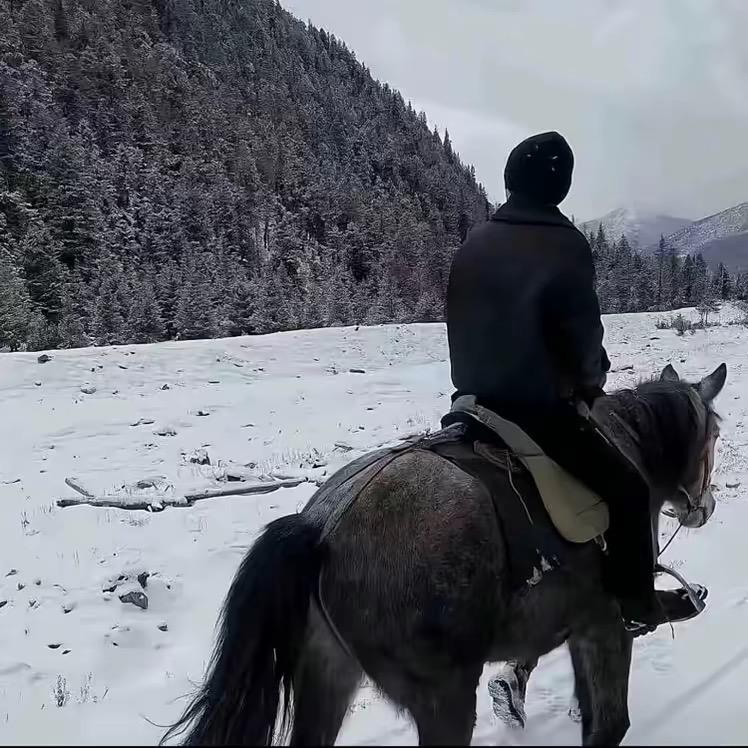 扰