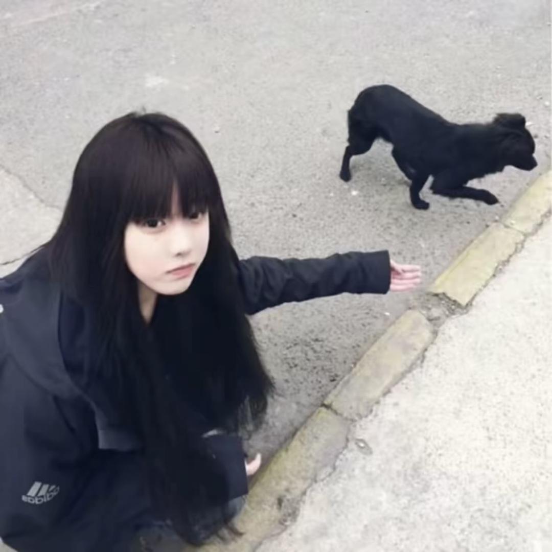 吃貓的魚