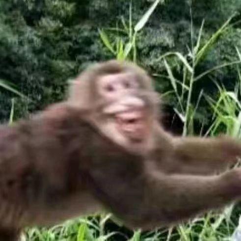 常常因为不够抽象而自卑
