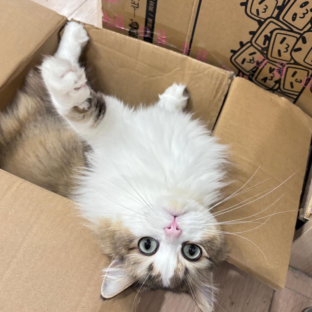 ゛  南辞 . g 📷丶