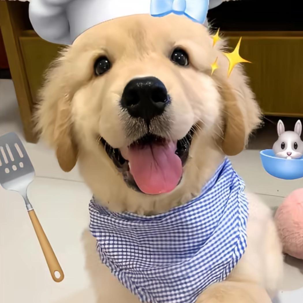 唉