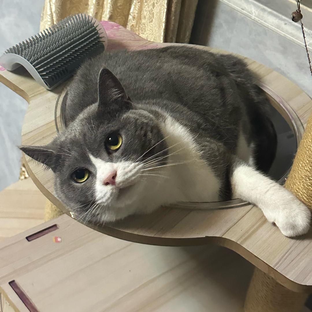 今晶轻奢珠宝