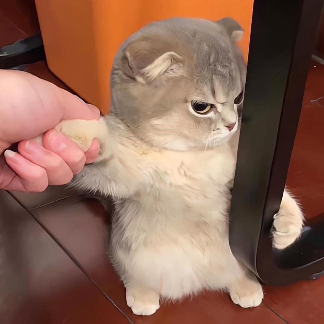 ..。