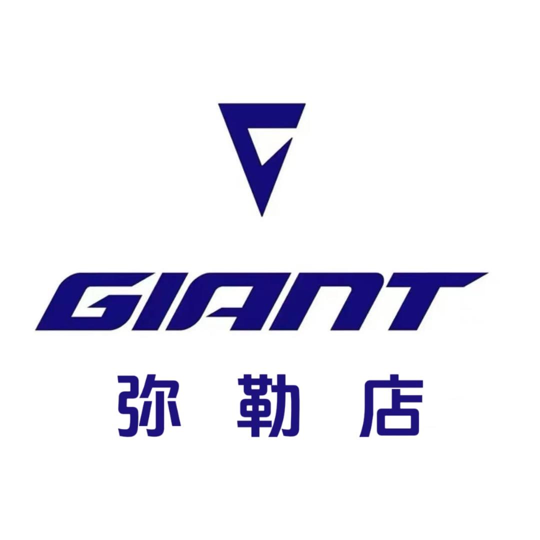 捷安特-丽以芙（弥勒店）