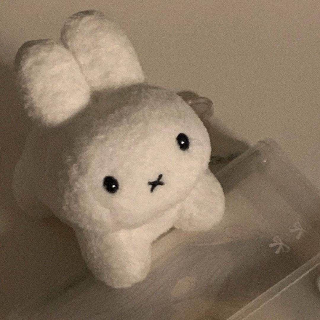 大树上的兔子🐰