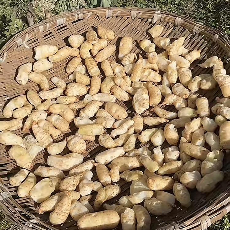 盛濠农业助农