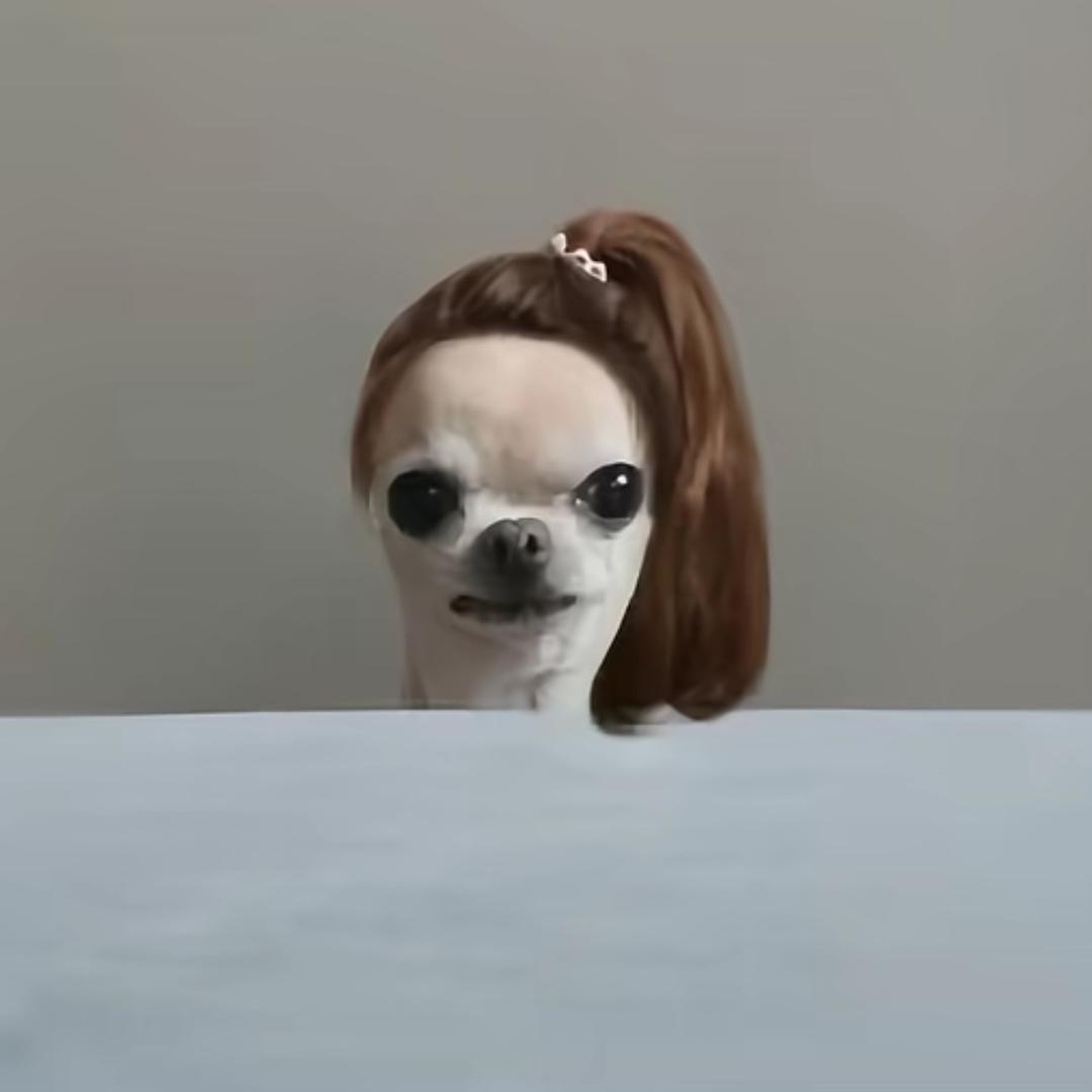 ʚccdɞ