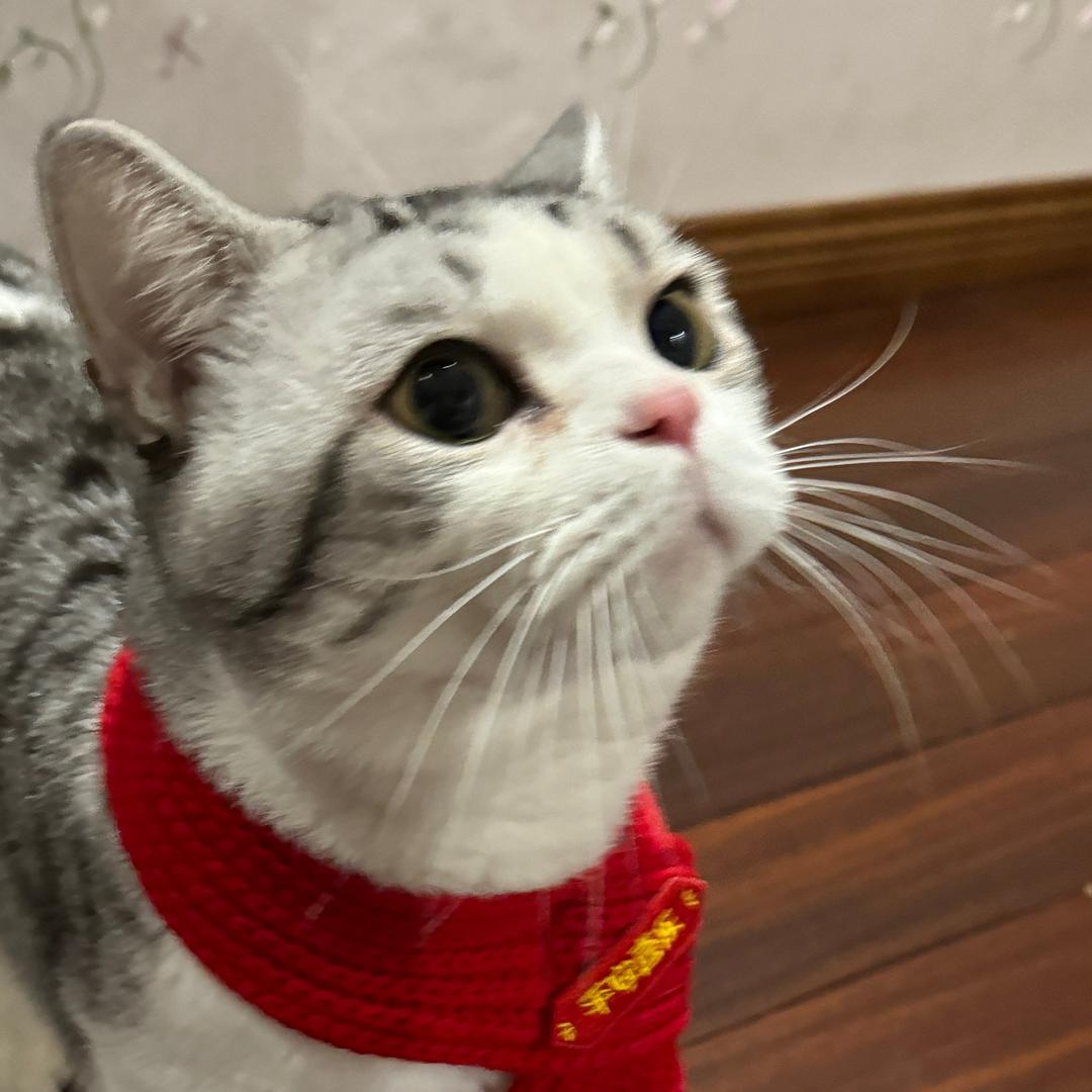 时秒不熬夜