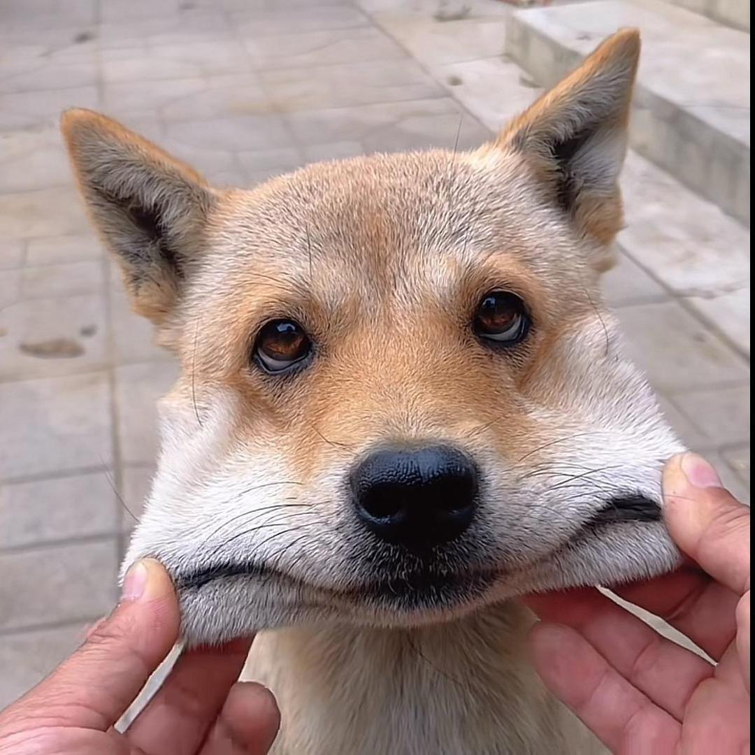 有人看海