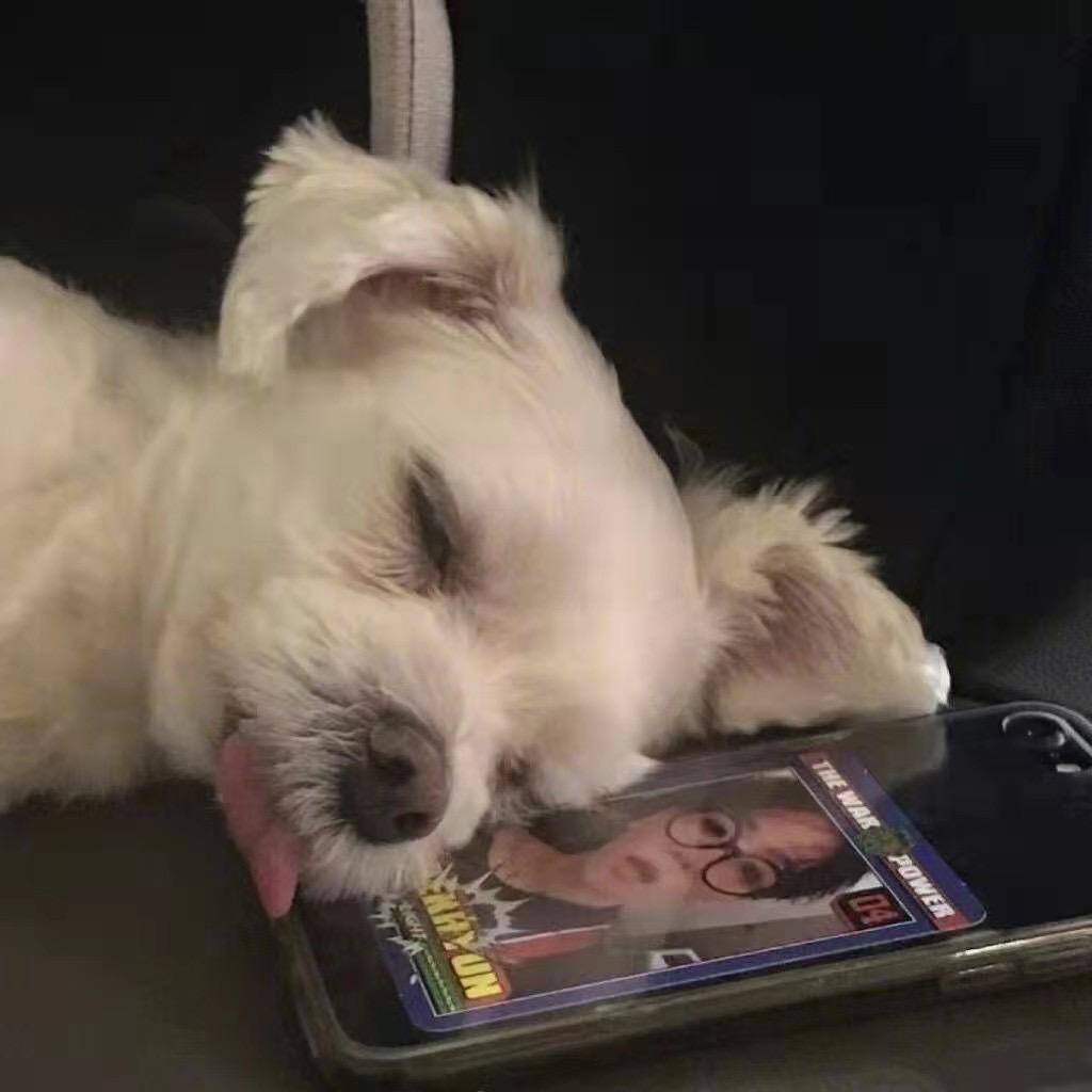 出门只穿裤衩子