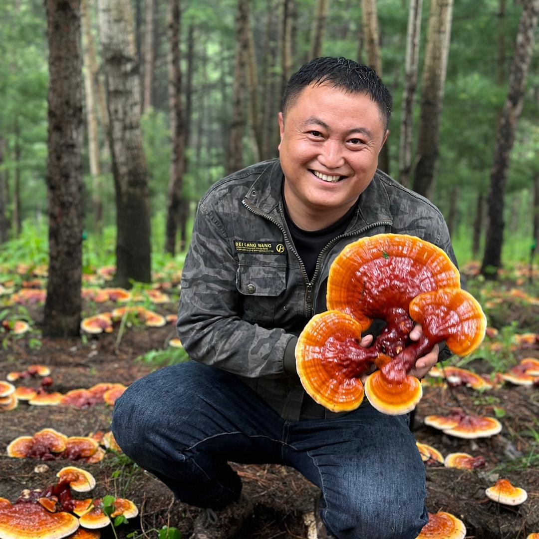 林区小阿龙（山货小王子）