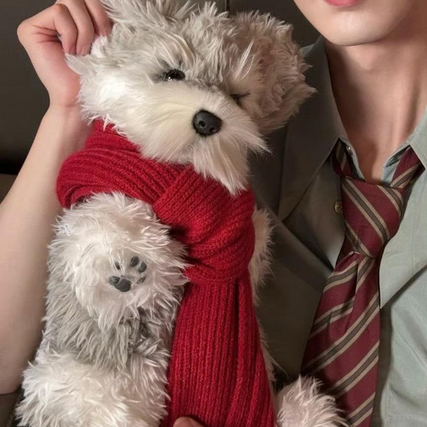 英语速记 小核桃老师