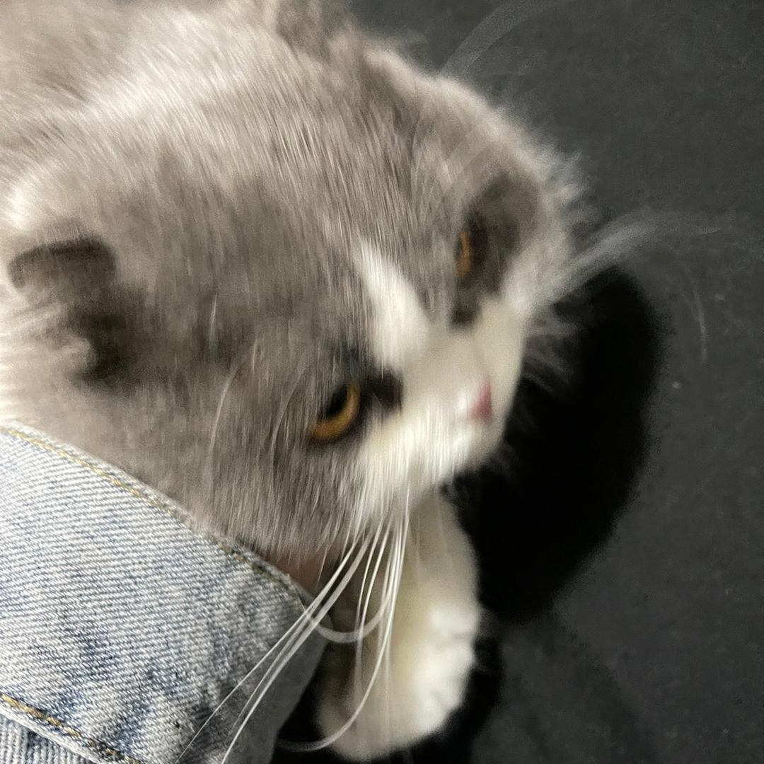 7825