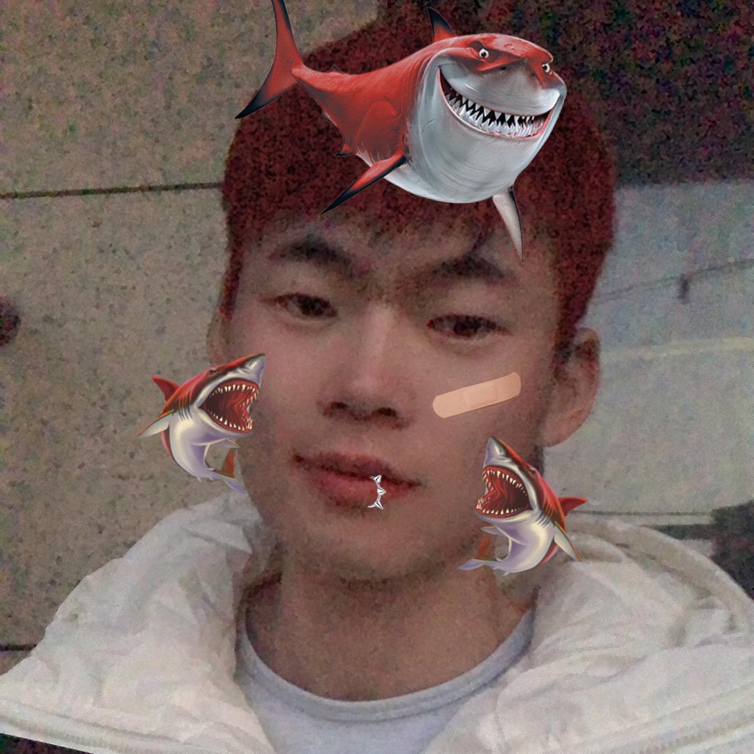 小赵哥
