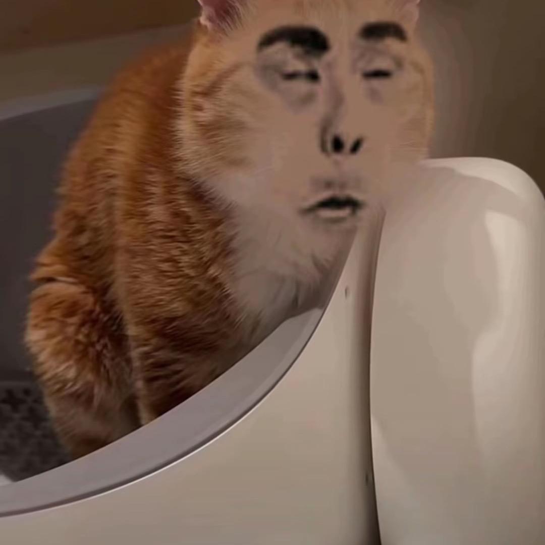 周周头像