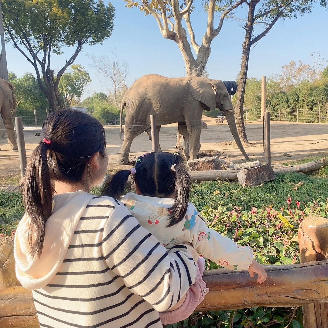 年姐粑粑👨‍👩‍👧
