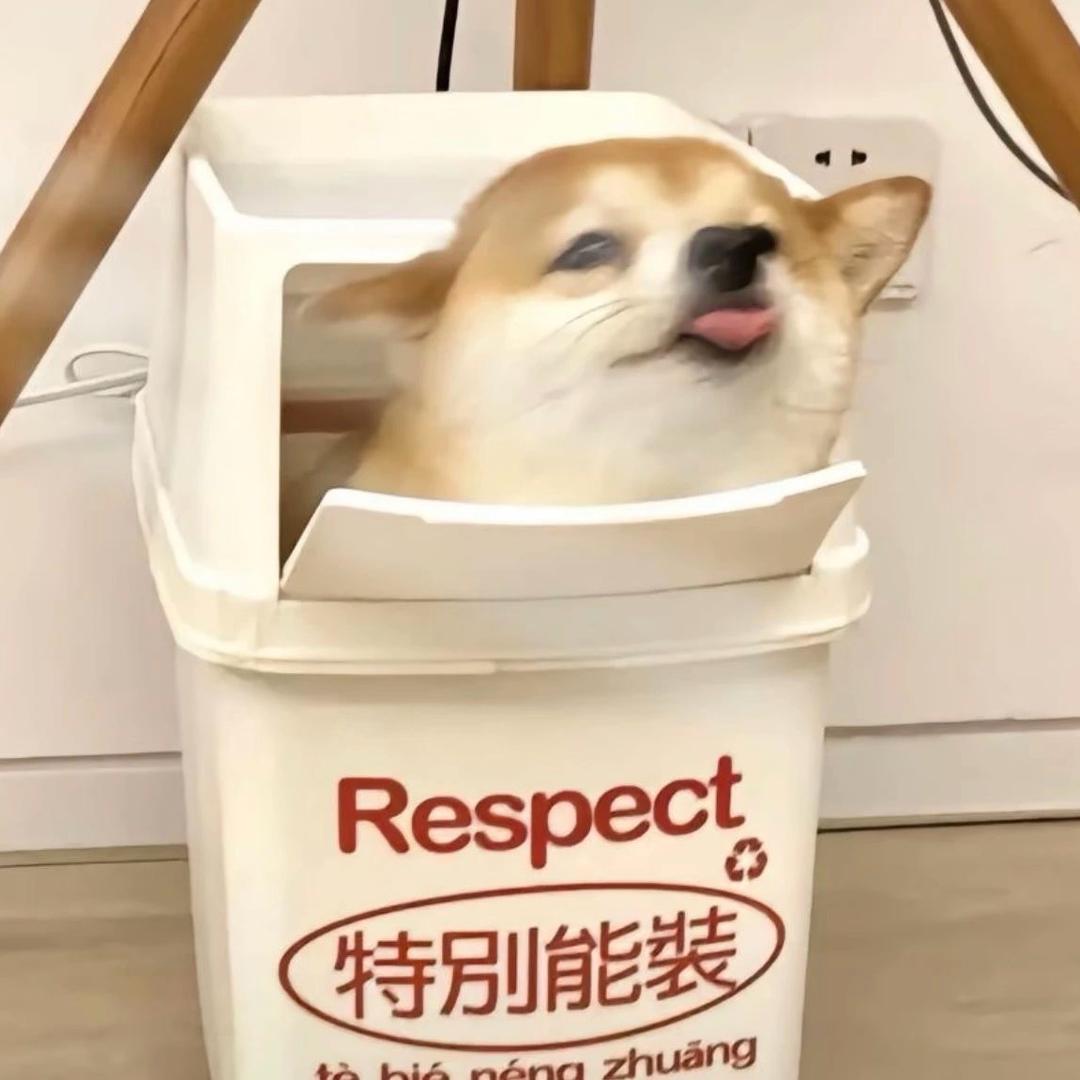 元气满满✌🏻