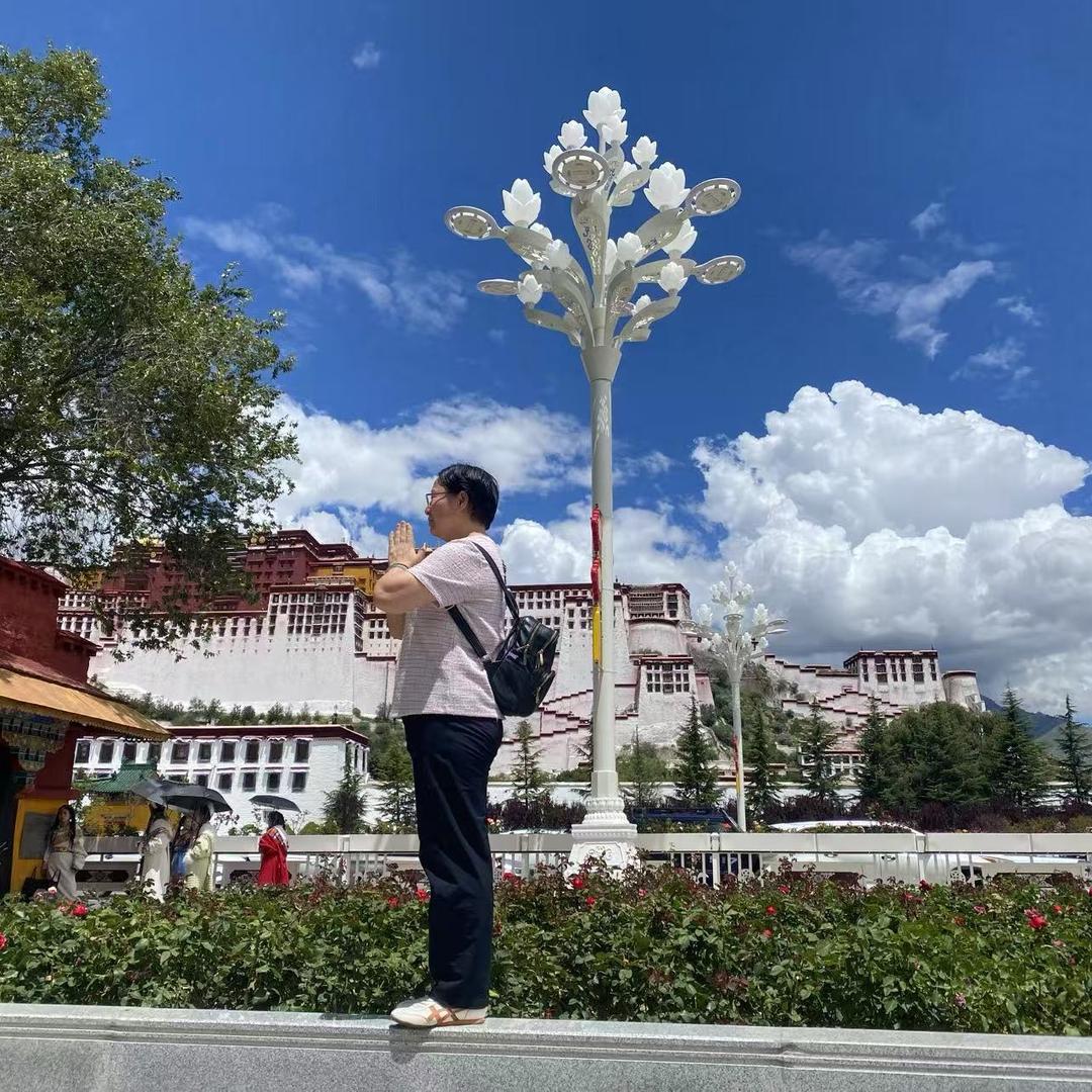 接天莲叶无穷碧