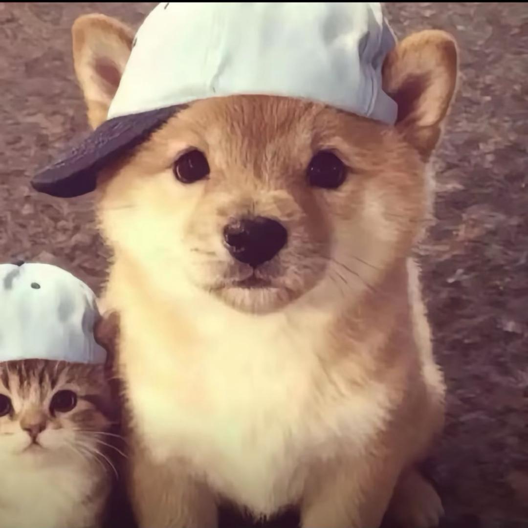 小南